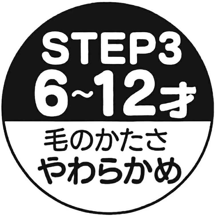 *現貨*日本SKATER FROZEN 透明 兒童牙刷 (3支裝) 6-12歲適用