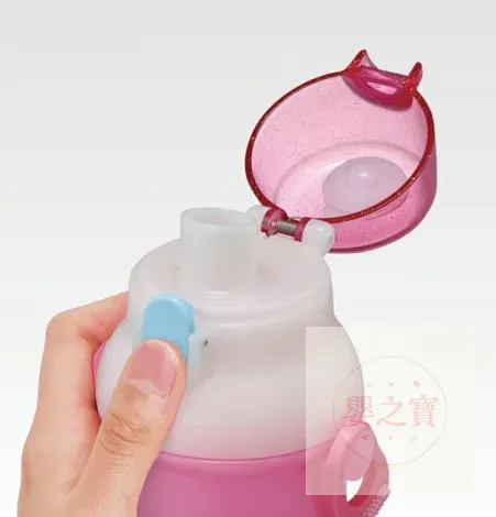 *現貨*日本製 Skater 廸士尼公主 直飲水樽480ml